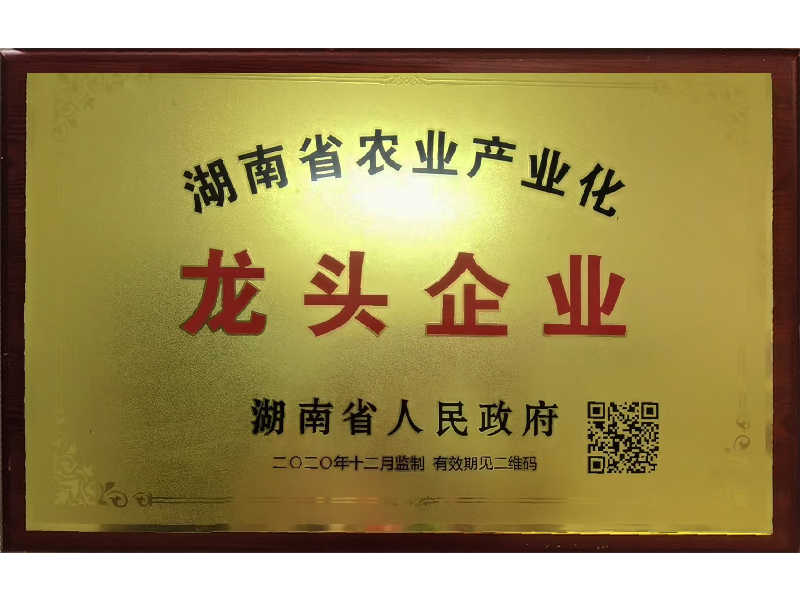 岳陽市漁之源食品有限公司,岳港漁都,洞庭魚港,散稱系列,田螺系列,臭豆腐加工，香豆腐加工，烤脖加工，魚仔,鴨排加工、雞丁加工代加工